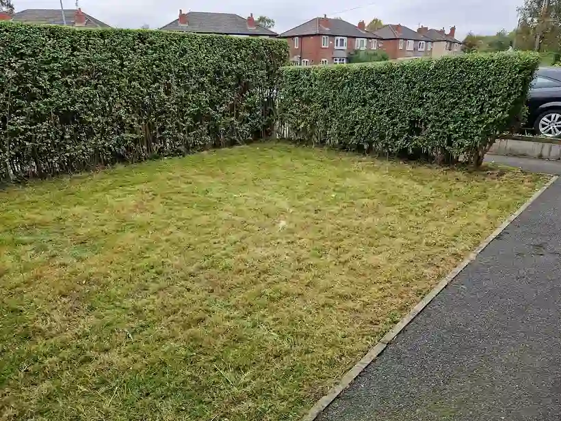 Freshly mowed and edged back lawn by EU Gardening Services